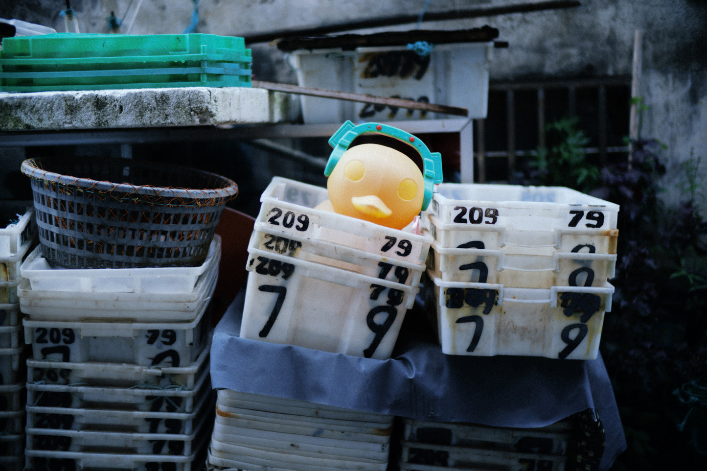 Lee Works | Noctlux M | 50mm f1.1