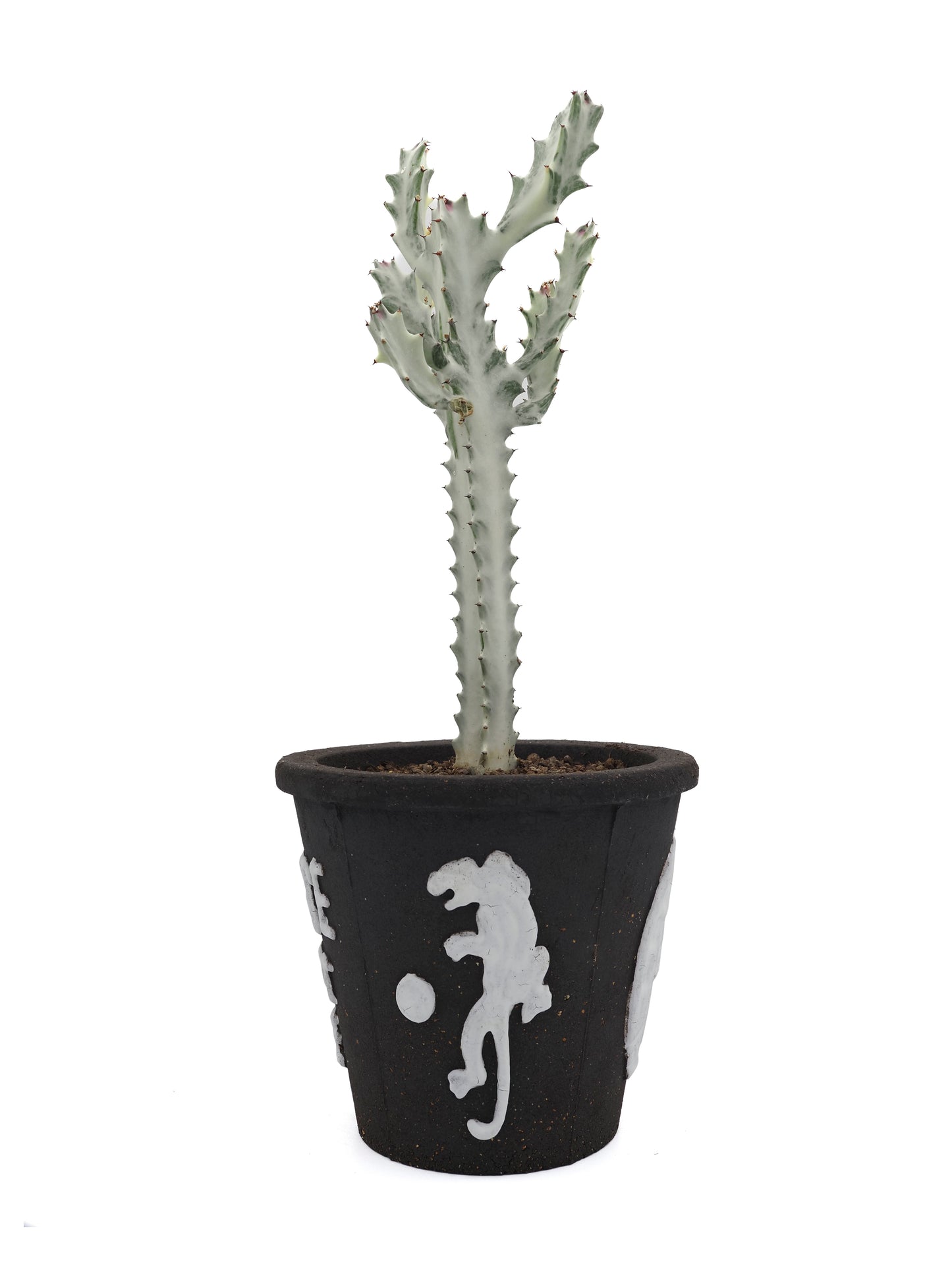 THE SCENE | Please don't die | planter