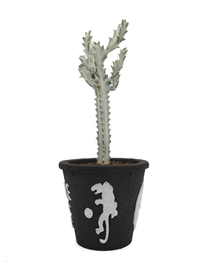 THE SCENE | Please don't die | planter